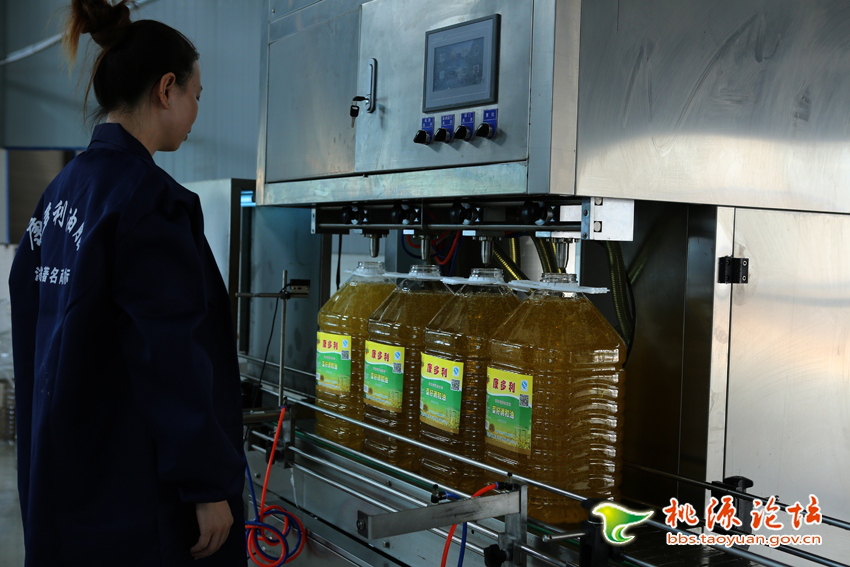 LETOU乐投,油茶莳植生产加工销售,植物油莳植生产加工销售