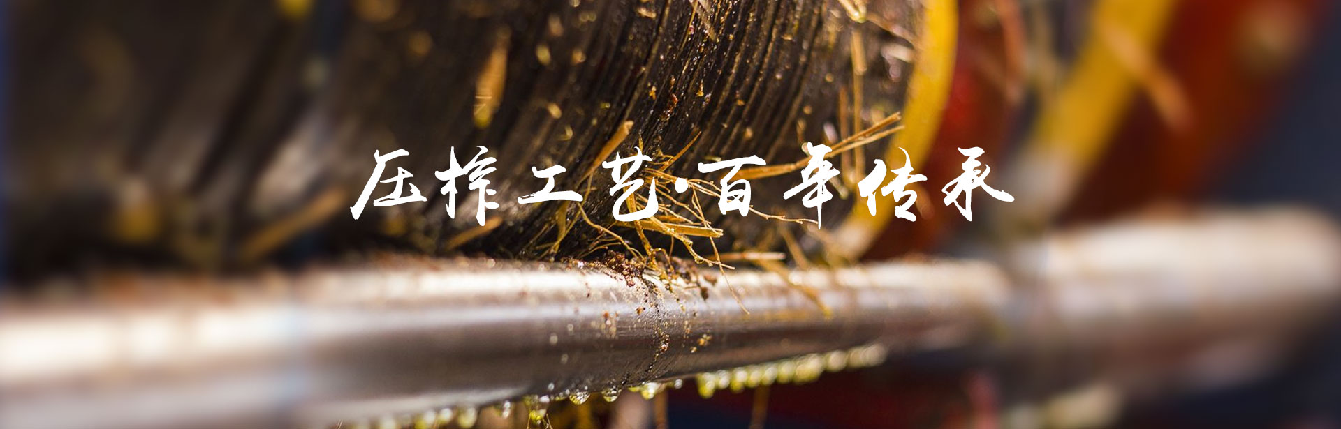 LETOU乐投_油茶莳植生产加工销售|植物油莳植生产加工销售