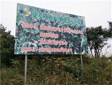 LETOU乐投,油茶莳植生产加工销售,植物油莳植生产加工销售