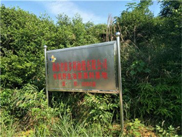 LETOU乐投,油茶莳植生产加工销售,植物油莳植生产加工销售