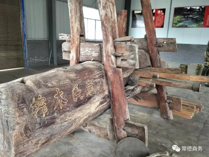 LETOU乐投,油茶莳植生产加工销售,植物油莳植生产加工销售